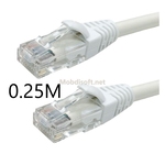 CABLE PATCH RESEAU CAT6 0.25M 