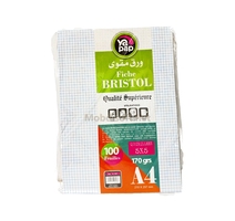 Rame Bristol A4 quadrier BLANC 170G YAPAP 1381 