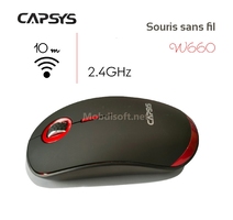 SOURIS Sans Fil  WIRELESS 2.4GHZ 10M CAPSYS W660 